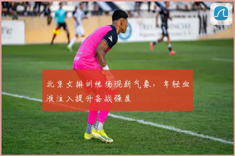 北京女排训练场现新气象，年轻血液注入提升备战强度