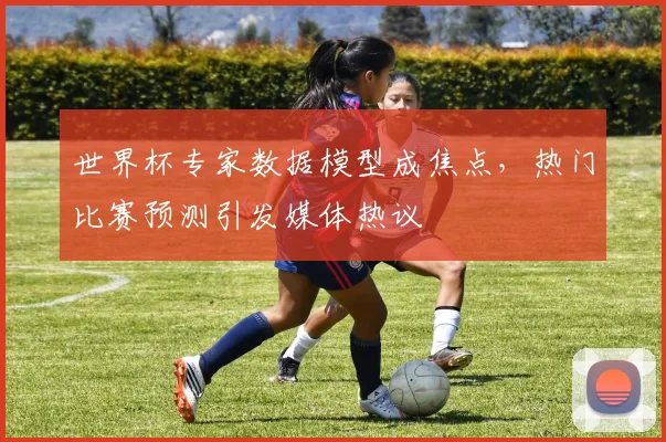 世界杯专家数据模型成焦点，热门比赛预测引发媒体热议