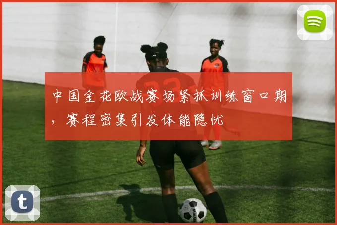 中国金花欧战赛场紧抓训练窗口期，赛程密集引发体能隐忧