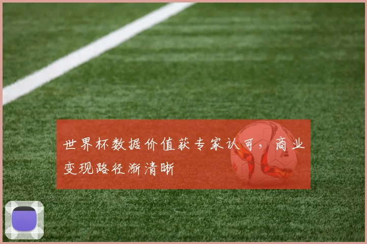 世界杯数据价值获专家认可，商业变现路径渐清晰