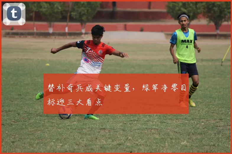替补奇兵成关键变量，绿军净零目标迎三大看点