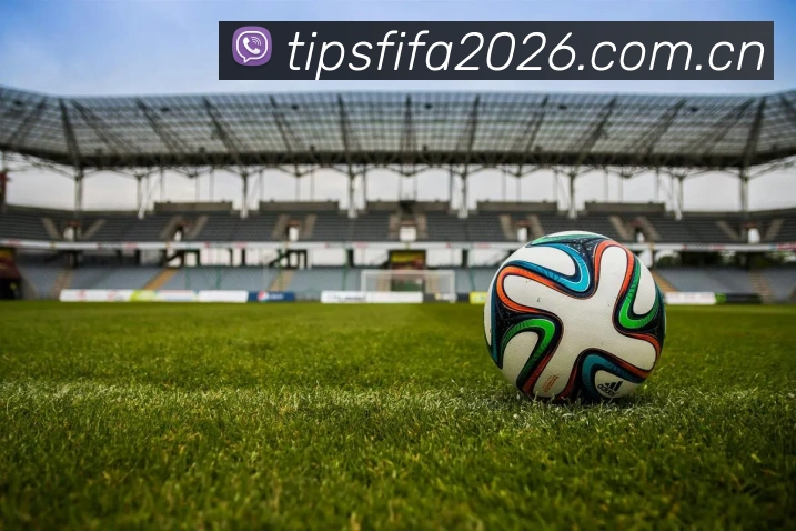 2026世界杯 多终端观赛